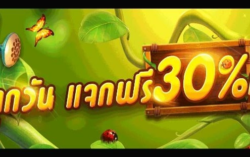 ฝากทุกวัน แจกฟรี30%ทุกวัน